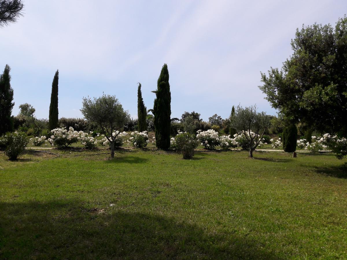 Villa La Lune O Collines - Gite Lédenon Exterior foto